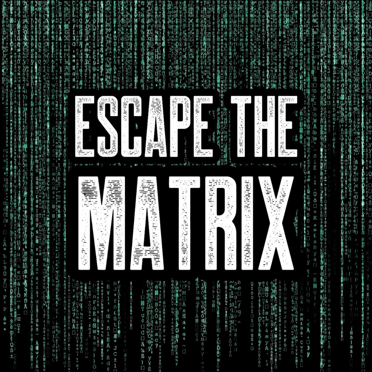 Escape the Matrix Challenge